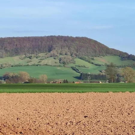 Fachwerkhaus In - Solling-vogler-naturschutzgebiet *